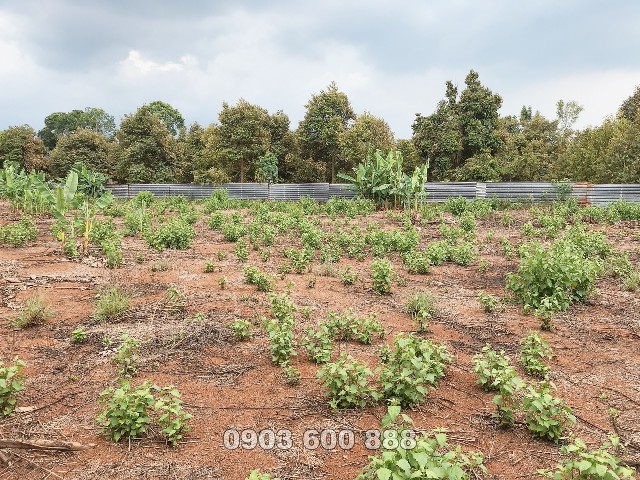 bán 3500m2 đất phường xuân tân tp long khánh